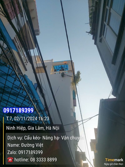 Kéo cây cảnh lên tầng 5 tại Ninh Hiệp, Gia Lâm